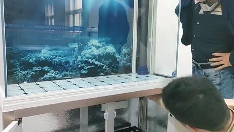 半圓型魚缸安裝 半圓型魚缸安裝 魚缸百科 第4張