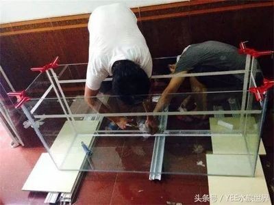 玻璃魚缸會不會漏水:關于玻璃魚缸漏水問題的解決方法 魚缸百科 第2張 玻璃魚缸會不會漏水:關于玻璃魚缸漏水問題的解決方法 玻璃魚缸會不會漏水:關于玻璃魚缸漏水問題的解決方法 魚缸百科 第2張