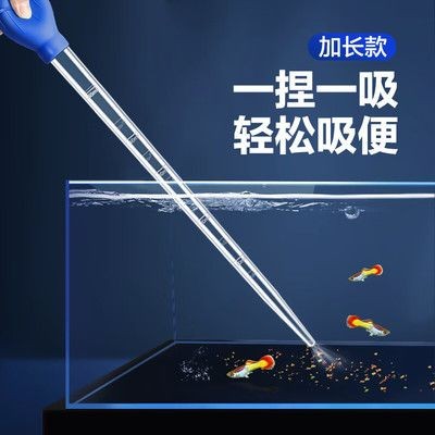 斗魚魚缸換水:斗魚換水的方法和注意事項