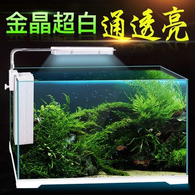 斗魚魚缸換水:斗魚換水的方法和注意事項