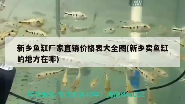 新鄉(xiāng)魚缸廠家直銷價(jià)格表大全圖(新鄉(xiāng)賣魚缸的地方在哪)