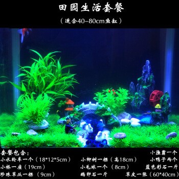 蓬萊市東發(fā)觀賞魚世界（蓬萊市東發(fā)觀賞魚世界地址）
