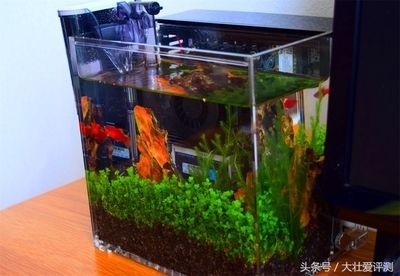 玻璃魚缸過濾器哪種好用點:玻璃魚缸過濾器品牌介紹仟湖、尼特利、京業jingye 魚缸百科 第2張 玻璃魚缸過濾器哪種好用點:玻璃魚缸過濾器品牌介紹仟湖、尼特利、京業jingye 玻璃魚缸過濾器哪種好用點:玻璃魚缸過濾器品牌介紹仟湖、尼特利、京業jingye 魚缸百科 第2張