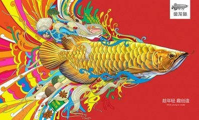 金龍魚圖畫大全大圖簡筆畫彩色