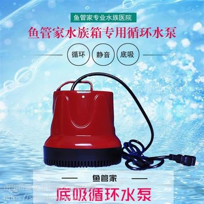 紅龍魚眼睛往里凹怎么回事?。t龍魚眼睛往里凹怎么回事啊視頻）