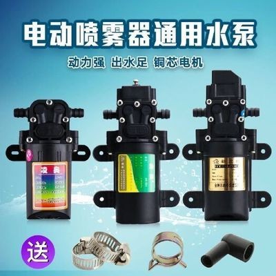 大魚缸增氧泵推薦：yee|魚缸增氧泵選擇魚缸增氧泵的選擇 大魚缸增氧泵推薦：yee|魚缸增氧泵選擇魚缸增氧泵的選擇 魚缸百科 第3張