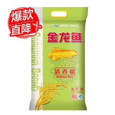 紅龍魚趴缸怎么辦視頻教程（紅龍魚趴缸怎么辦視頻教程全集）