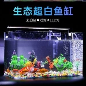 大魚缸組裝視頻教學(xué)：大型魚缸的組裝技巧