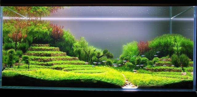 長子縣霞平水族世界