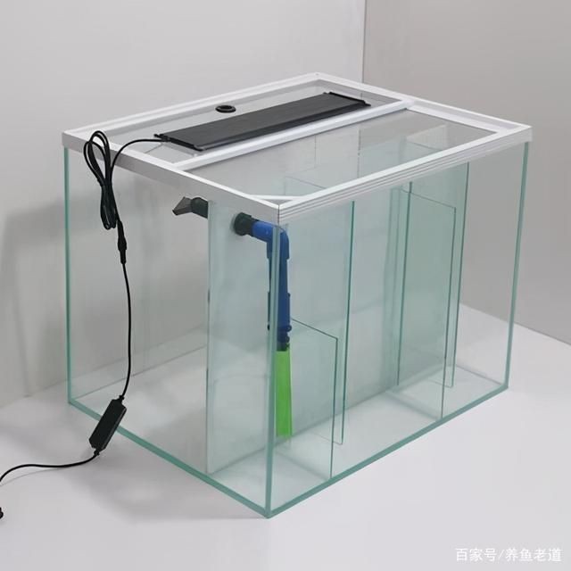 側濾魚缸的缺點 側濾魚缸的缺點 魚缸百科 第4張