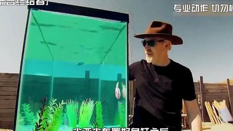 欒城縣涵涵水族館（欒城縣涵涵水族館電話）