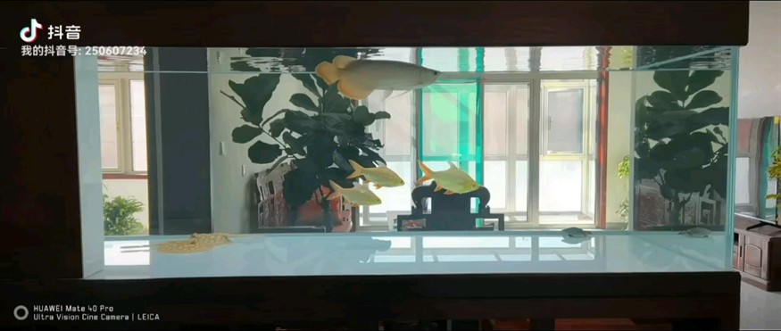 第58天
