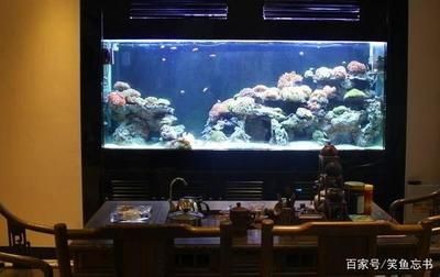 朝南的房子魚缸放什么位置合適：朝南的房子魚缸擺放的風(fēng)水禁忌