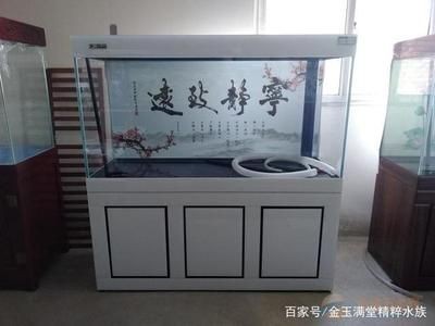玻璃膠膠的魚缸多長時間可以使用：魚缸玻璃膠使用壽命