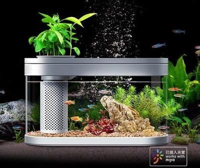 大魚缸換水不方便怎么辦視頻：大魚缸換水不方便怎么辦 大魚缸換水不方便怎么辦視頻：大魚缸換水不方便怎么辦 魚缸百科 第1張
