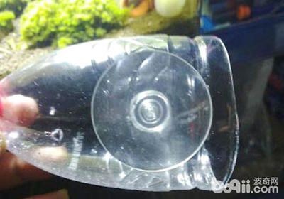 大礦泉水瓶子做魚缸視頻：如何用大礦泉水瓶制作魚缸，以下是一些相關的視頻