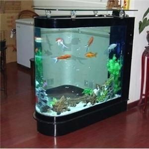 1.2米魚缸用多厚的玻璃膠水：1.2米魚缸使用多厚的玻璃膠水