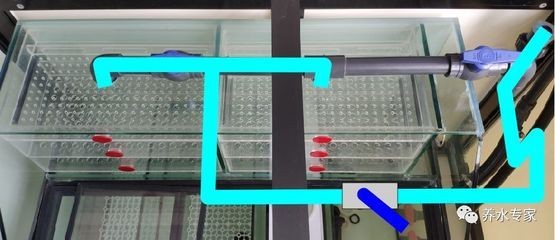 大型魚缸怎么裝加熱棒：大型魚缸加熱棒的選擇