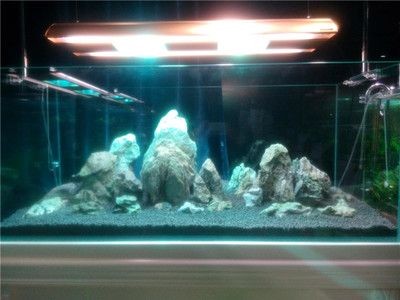 大型造景魚缸方案圖：大型造景魚缸的方案圖