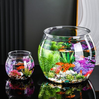 紅龍魚每天燈照需要多長時(shí)間（紅龍魚一天燈照多久） 紅龍魚每天燈照需要多長時(shí)間（紅龍魚一天燈照多久） 紅龍魚百科