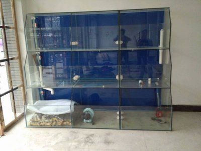 定做玻璃魚缸多少錢：定做玻璃魚缸價格