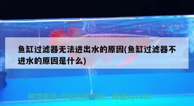魚(yú)缸過(guò)濾器無(wú)法進(jìn)出水的原因(魚(yú)缸過(guò)濾器不進(jìn)水的原因是什么)