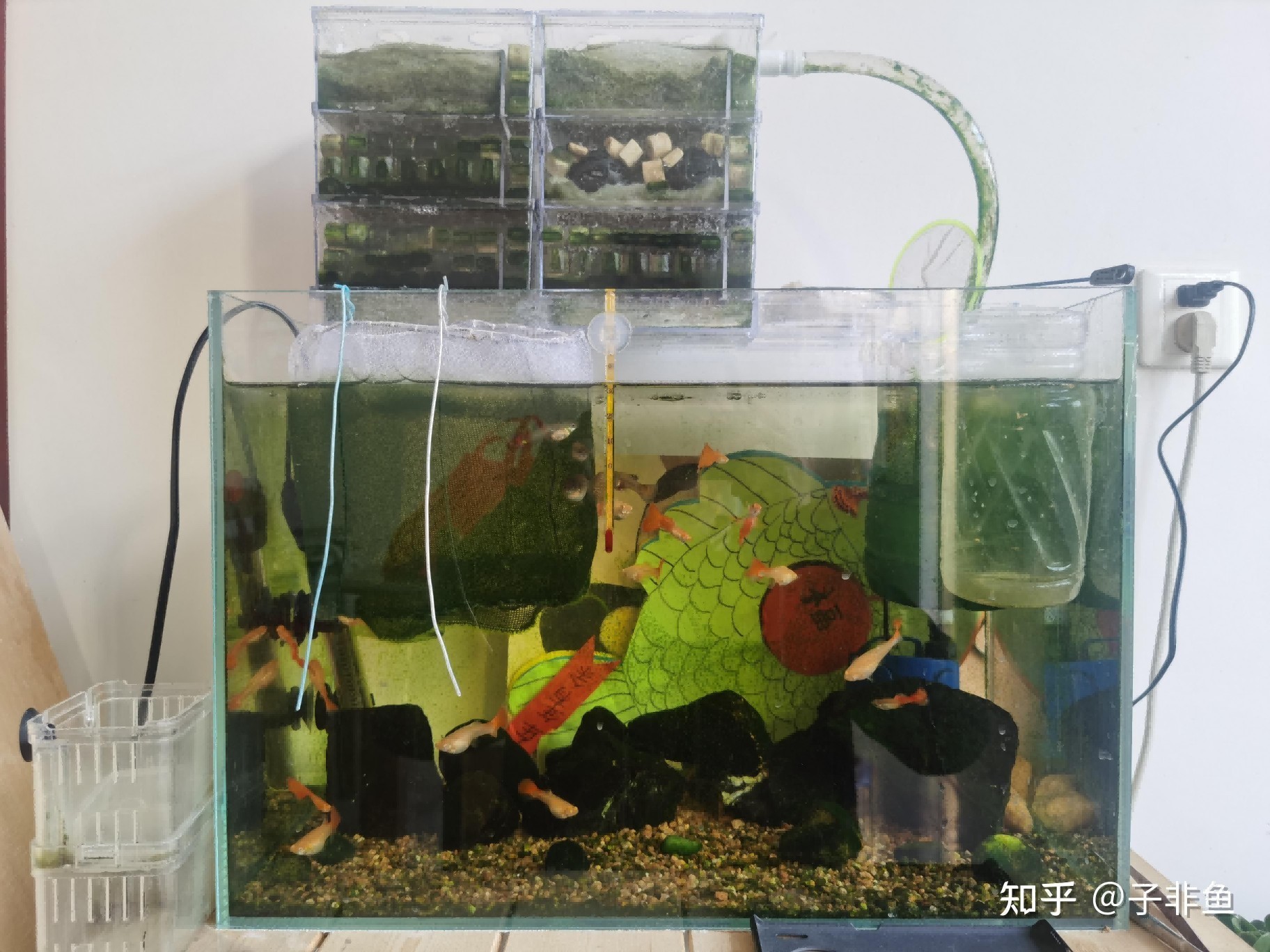 玻璃魚缸過濾器有用嗎知乎：免影響過濾器在維持魚缸水質(zhì)清潔和補充