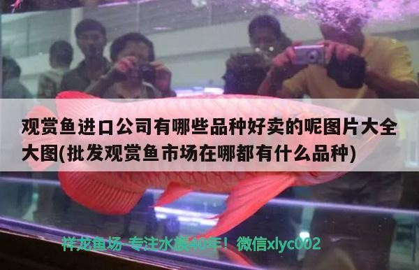 祝?龍巔12歲生日快樂