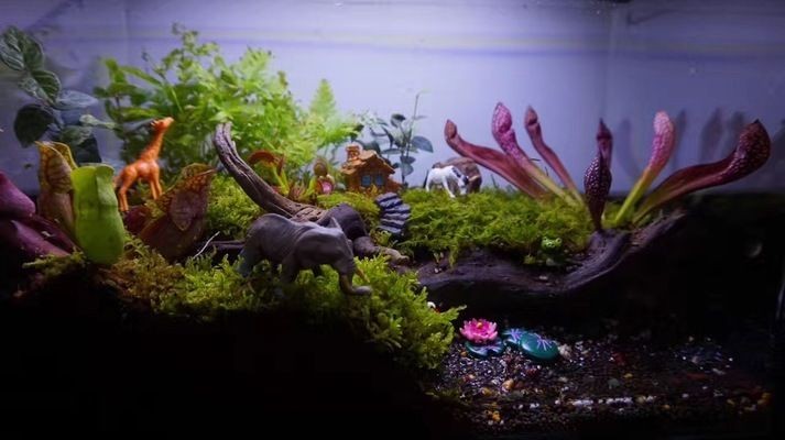 不想用的魚缸怎么處理掉了：不想用的魚缸可以根據個人喜好和需求決定如何處理
