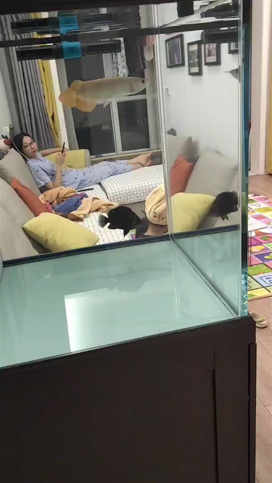 虎魚第一次開口