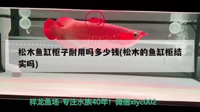 松木魚缸柜子耐用嗎多少錢(松木的魚缸柜結實嗎) 松木魚缸柜子耐用嗎多少錢(松木的魚缸柜結實嗎) 紅龍魚百科