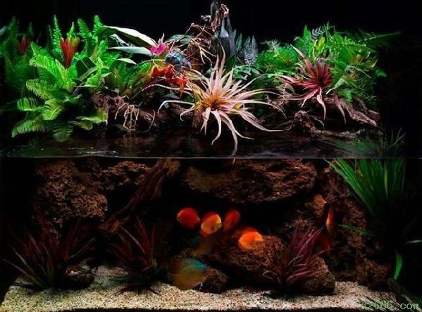 大型魚缸制作過程：大型魚缸制作過程及注意事項