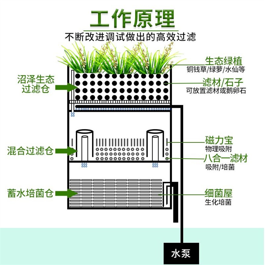 不花錢(qián)的魚(yú)缸濾材：魚(yú)缸濾材的種類(lèi)及牌子推薦