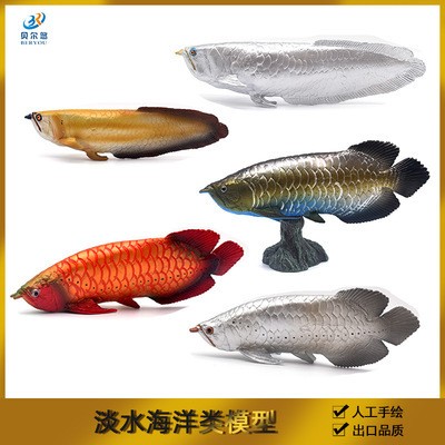紅龍魚眼睛看不見食物正常嗎（紅龍魚眼睛看不見食物正常嗎圖片）
