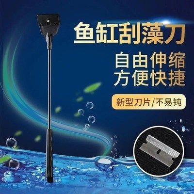 擦魚缸內壁工具怎么用：如何使用磁力刷清洗大魚缸內壁