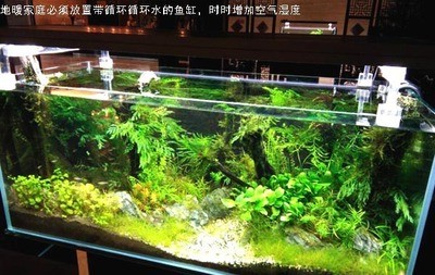 桓臺縣城區魚趣茶語水族館（桓臺縣城區魚趣茶語水族館電話） 桓臺縣城區魚趣茶語水族館（桓臺縣城區魚趣茶語水族館電話） 全國水族館企業名錄 第1張