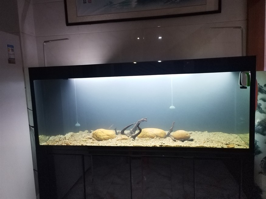 魚死缸還在