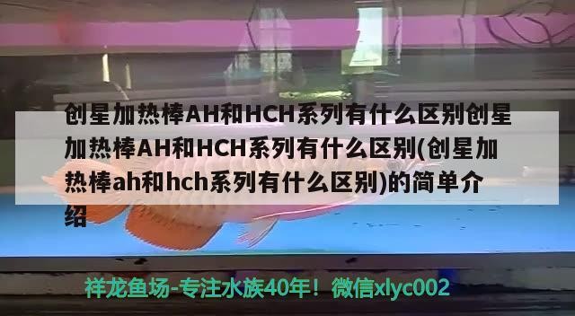 豬鼻龜吃龍魚視頻(金龍魚豬鼻龜) 豬鼻龜吃龍魚視頻(金龍魚豬鼻龜) 豬鼻龜百科 第3張