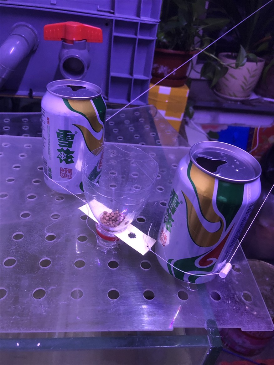 華為都突破了，我們也要有所創新
