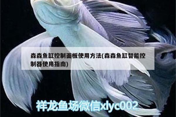 營口經(jīng)濟技術(shù)開發(fā)區(qū)孔錦鯉龍鯉苑水族館（營口錦鯉漁場）