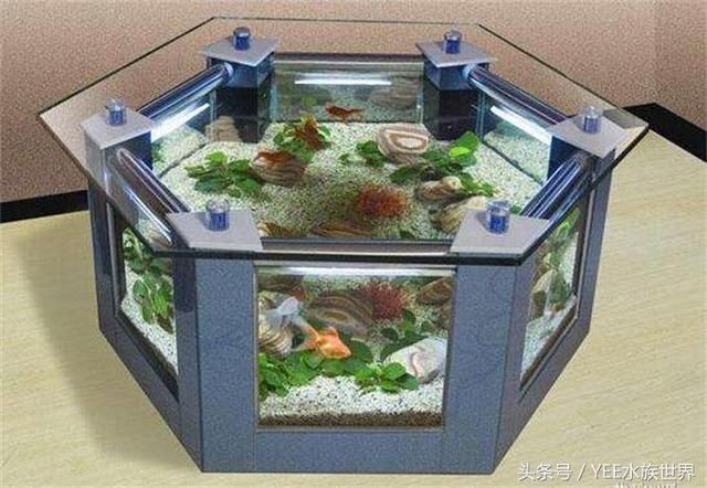 大水缸改造魚缸 大水缸改造魚缸 魚缸百科 第1張