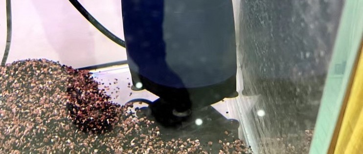 哈爾濱市道外區(qū)鑫海水族館（哈爾濱市道外區(qū)鑫海水族館地址）