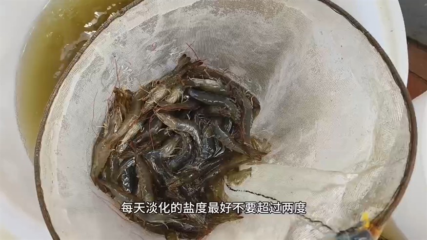 水質(zhì)的日常管理