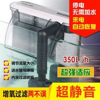 壁掛式魚缸適合養什么魚 魚缸百科 第2張 壁掛式魚缸適合養什么魚 壁掛式魚缸適合養什么魚 魚缸百科 第2張
