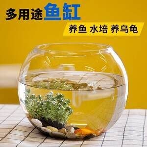 半圓型魚缸適合養(yǎng)什么魚呢:半圓形魚缸適合養(yǎng)什么魚? 魚缸百科 第1張 半圓型魚缸適合養(yǎng)什么魚呢:半圓形魚缸適合養(yǎng)什么魚? 半圓型魚缸適合養(yǎng)什么魚呢:半圓形魚缸適合養(yǎng)什么魚? 魚缸百科 第1張