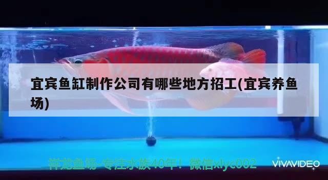 宜賓魚缸制作公司有哪些地方招工(宜賓養魚場)