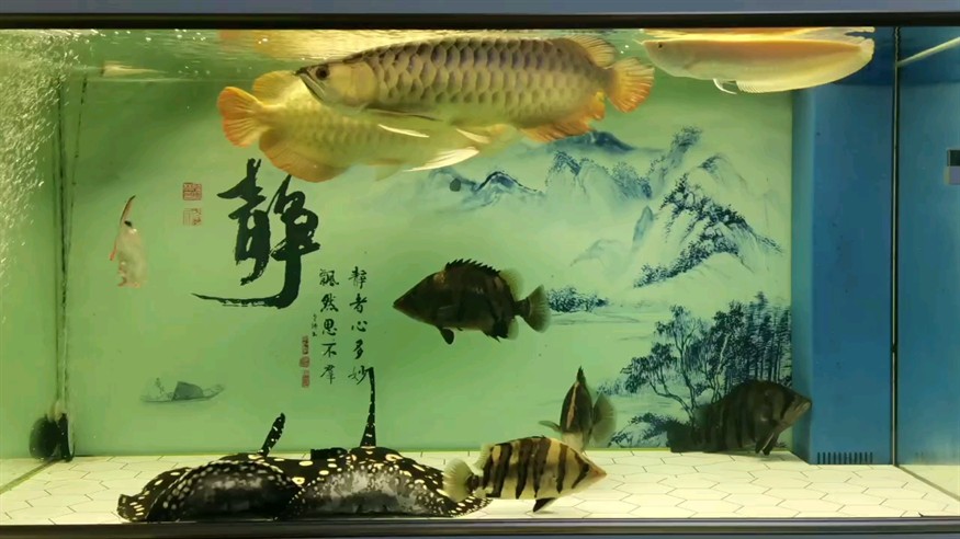 調理中