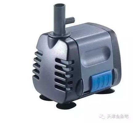 新泰市中海晶水族店（中海新泰建設工程有限公司）