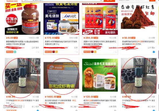 金黃色的龍魚會不會褪色