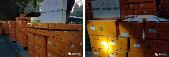 大魚缸用什么快遞物流比較好：大魚缸的快遞物流選擇